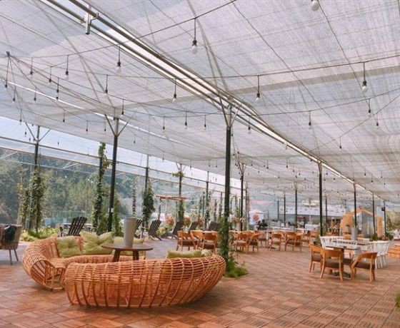 Cafe F Cánh Đồng Hoa - Đà Lạt